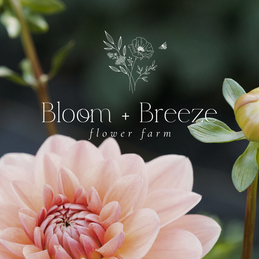 Full Bloom Flower Farm and Floral Design