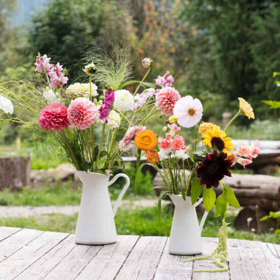 u-pick flowers