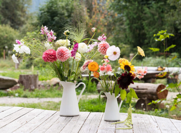 u-pick flowers