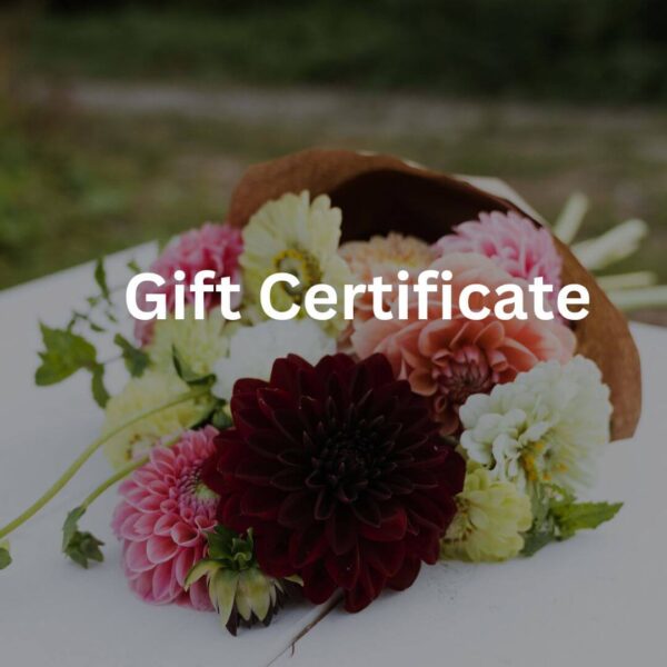 Gift Certificate